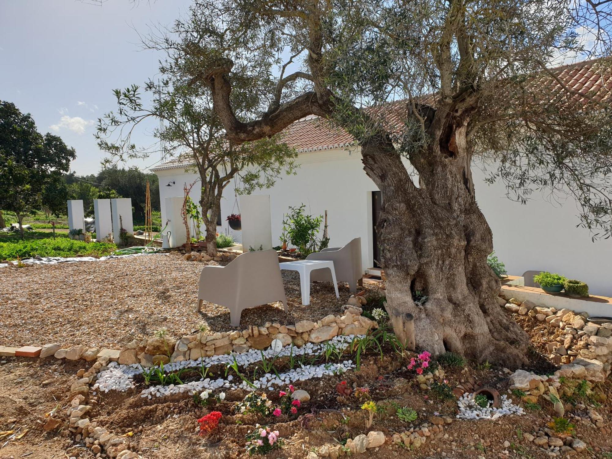 Monte Das Acoteias - Agroturismo Tavira Exteriér fotografie